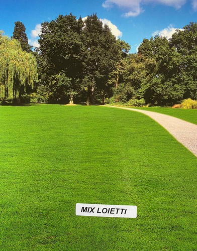 Prato mix loietto - kg, sementi